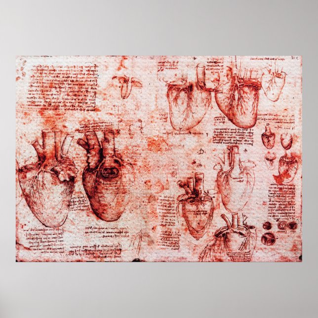 Heart And Its Blood Vessels Leonardo Da Vinci,Red Poster (Front)