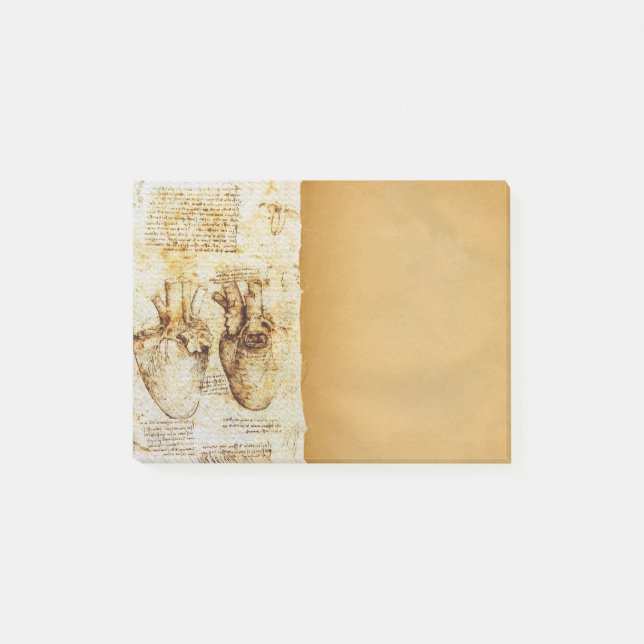 Heart And Its Blood Vessels Medical Parchment Post-it Notes (Front)