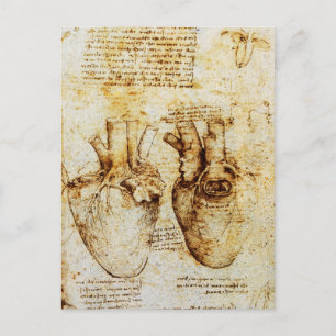 Heart And Its Blood Vessels Parchment Postcard