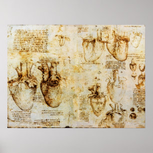 Heart And Its Blood Vessels Poster