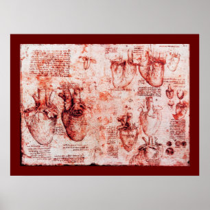Heart And Its Blood Vessels , Red Canvas Poster