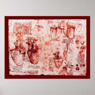 Heart And Its Blood Vessels , Red  Canvas Poster