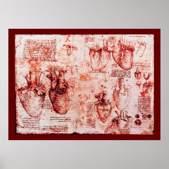 Heart And Its Blood Vessels , Red  Canvas Poster (Front)