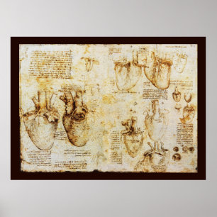 Heart And Its Blood Vessels , Sepia Canvas Poster