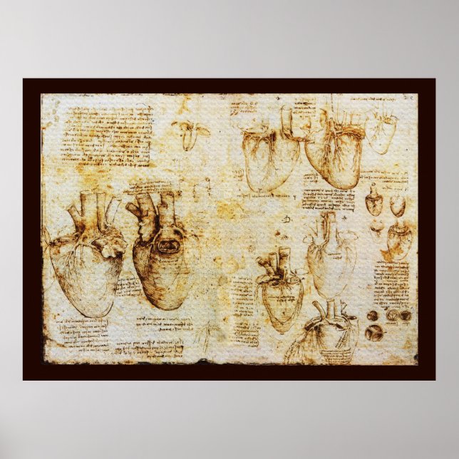 Heart And Its Blood Vessels , Sepia Canvas Poster (Front)