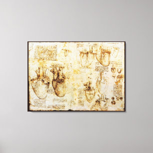 Heart And Its Blood Vessels, Sepia Canvas Print