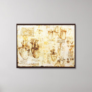 Heart And Its Blood Vessels, Sepia Canvas Print