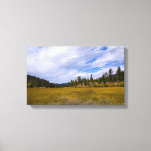 Heart Bar Meadow in Fall 2 Canvas Print