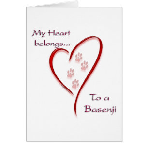 Heart Belongs to Basenji; Love Basenji