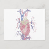 Heart (Biro)