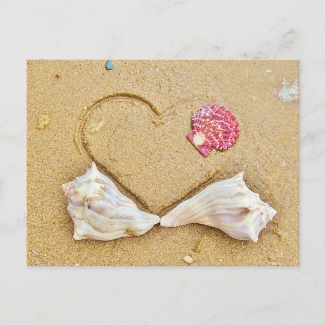 heart in the sand with shells postcard (Front)