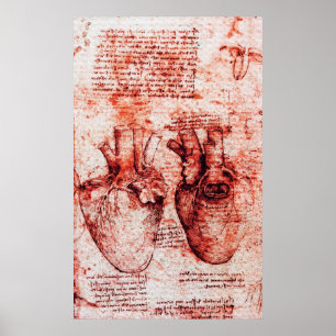 Heart,Its Blood Vessels,Leonardo Da Vinci Red Poster