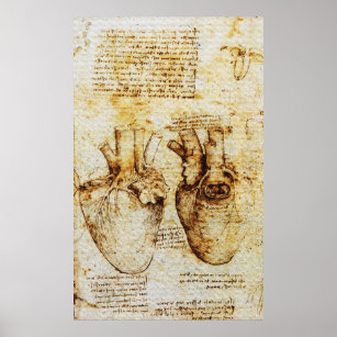 Heart,Its Blood Vessels,Leonardo Da Vinci,Sepia Poster