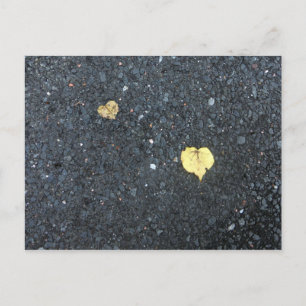 Heart Leaves - Autumn Love Postcard