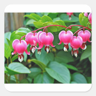 Heart Love Square Sticker