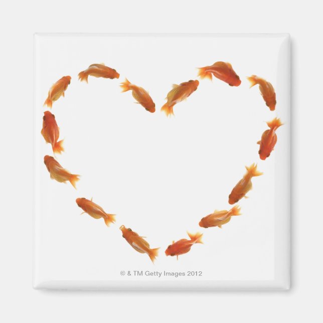 Heart made with goldfishes magnet (Front)
