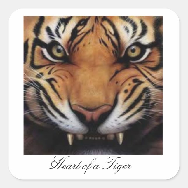 Heart of a Tiger Stickers (Front)