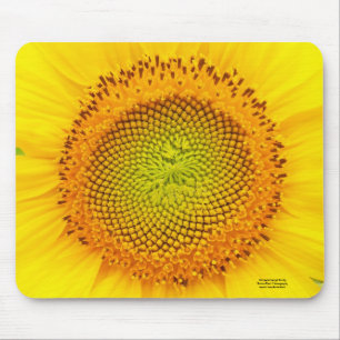 Heart of the Sunflower Mouse Mat