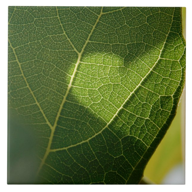 Heart on a Sunlit Leaf Tile (Front)
