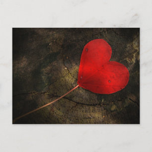 heart postcard