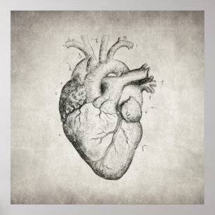 Heart Poster