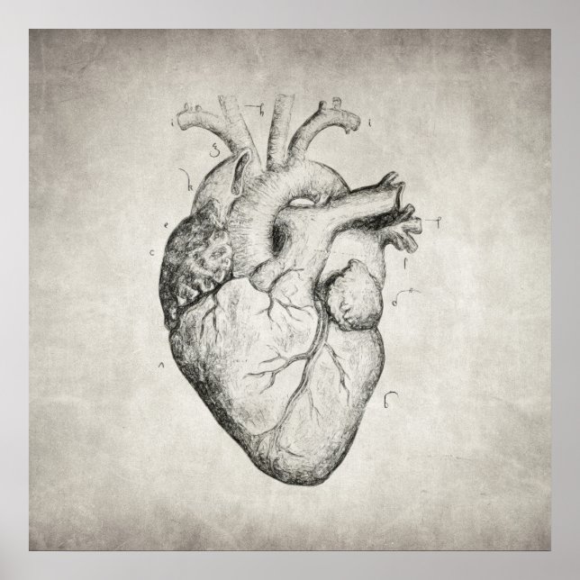 Heart Poster (Front)