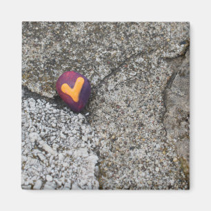 Heart Rock and Fossil Rock Magnet