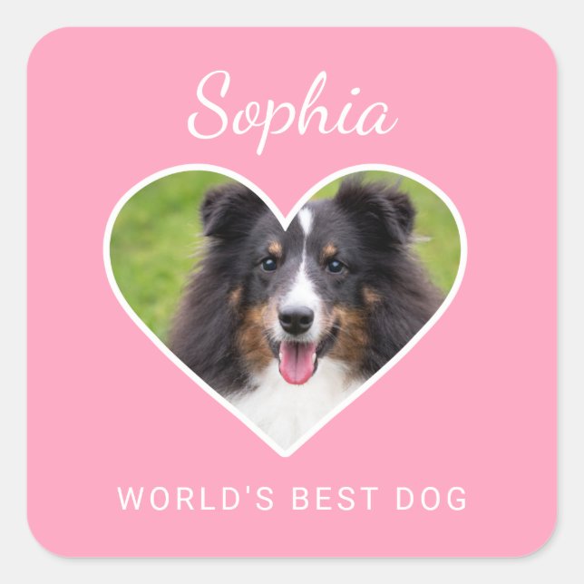 Heart Shape Custom Pet Photo On Pink & Text Square Sticker (Front)