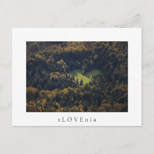 Heart shape in a forest in Slovenia Postcard