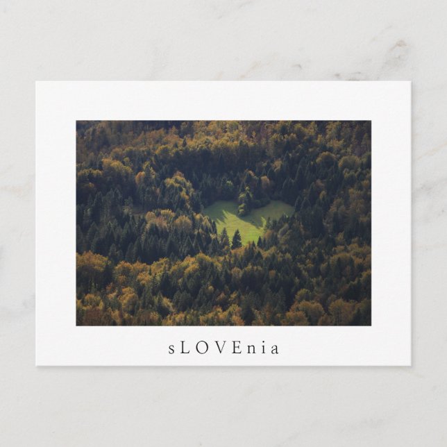 Heart shape in a forest in Slovenia Postcard (Front)