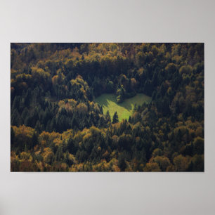 Heart shape in a forest in Slovenia Poster