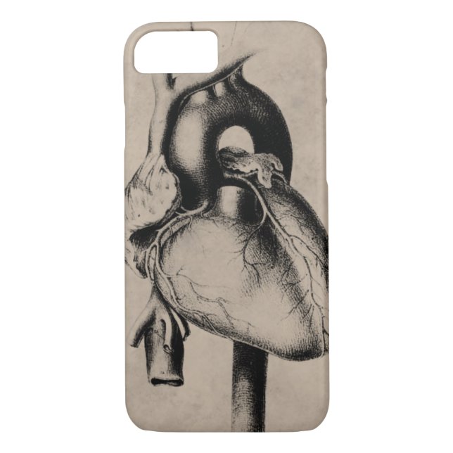 Heart shaped box for your iPhone 7 Case-Mate iPhone Case (Back)