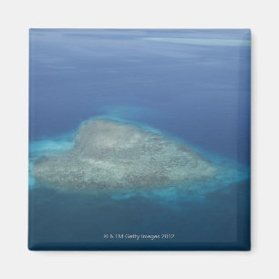 Heart shaped coral reef magnet
