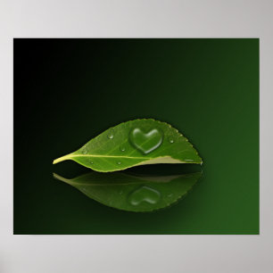 Heart Shaped Droplet on Leaf Poster