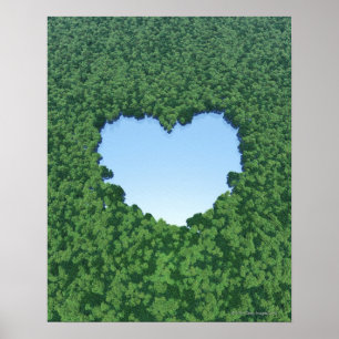 Heart-Shaped Lake Poster