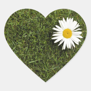 Heart shaped piece of lawn with big daisy flower heart sticker