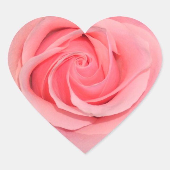Heart Shaped Pink Rose Stickers (Front)