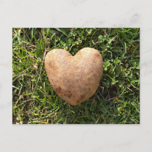 Heart Shaped Potato Postcard