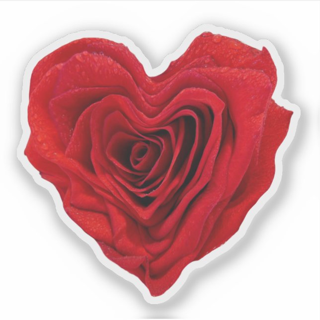 Heart-Shaped Red Rose (Front)