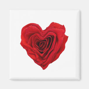 Heart-Shaped Red Rose Magnet