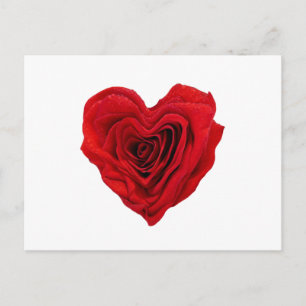 Heart-Shaped Red Rose Postcard