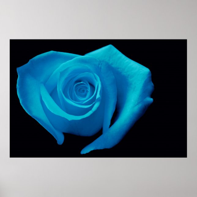 Heart Shaped Rose, Aqua Poster (Front)