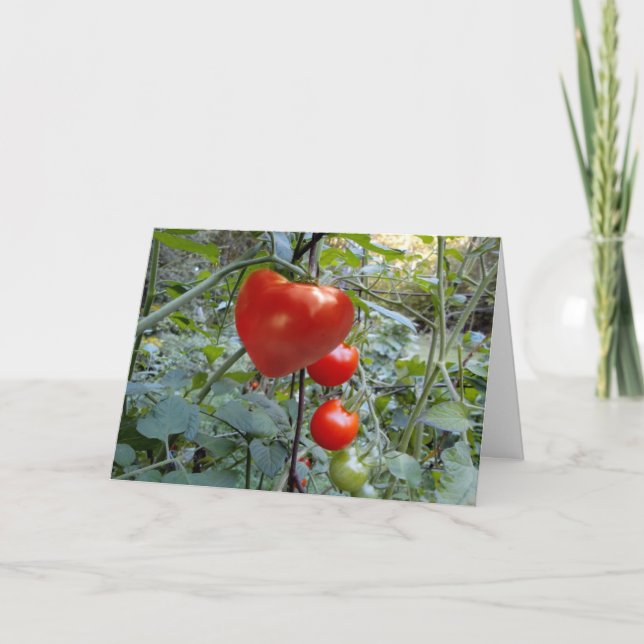 Heart Shaped Tomato no message Holiday Card (Front)