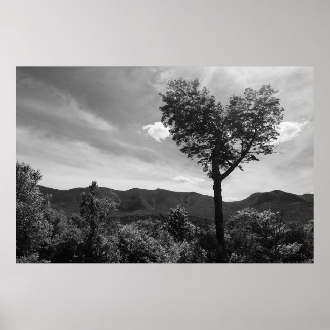 Heart Shaped Tree Poster (Front)