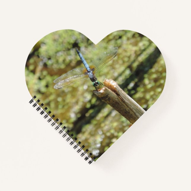 Heart-shaped unlined notebook with dragonfly photo (Front)