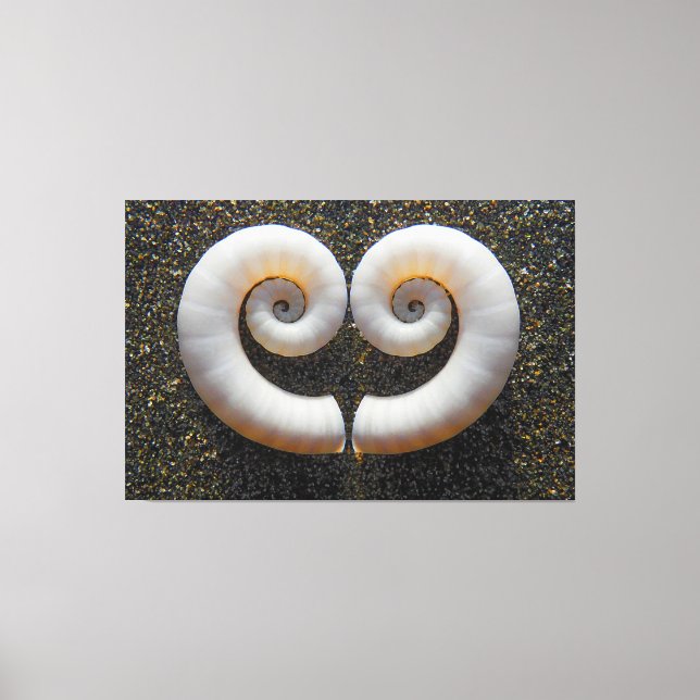 HEART SHELLS 40x60 Canvas Print (Front)