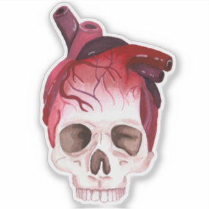 Heart Skull
