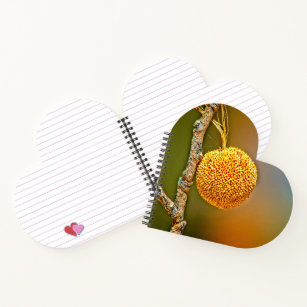 Heart Spiral Notebook, Sycamore Seed Ball  Notebook