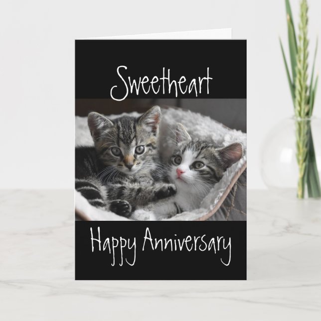  Heart Sweetheart  Anniversary Cat Animal  Card (Front)