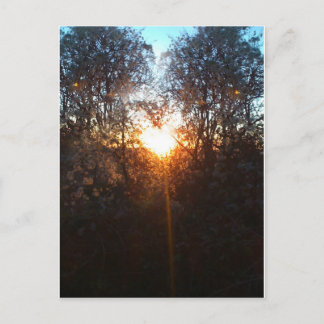 heartbeamdec2010 postcard